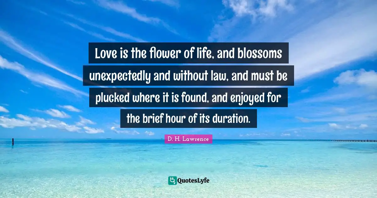 D.H. Lawrence Quotes: "Love is the flower of life, and blossoms unexpectedly and without law, and must be plucked where it is found, and enjoyed for the brief hour of its duration."