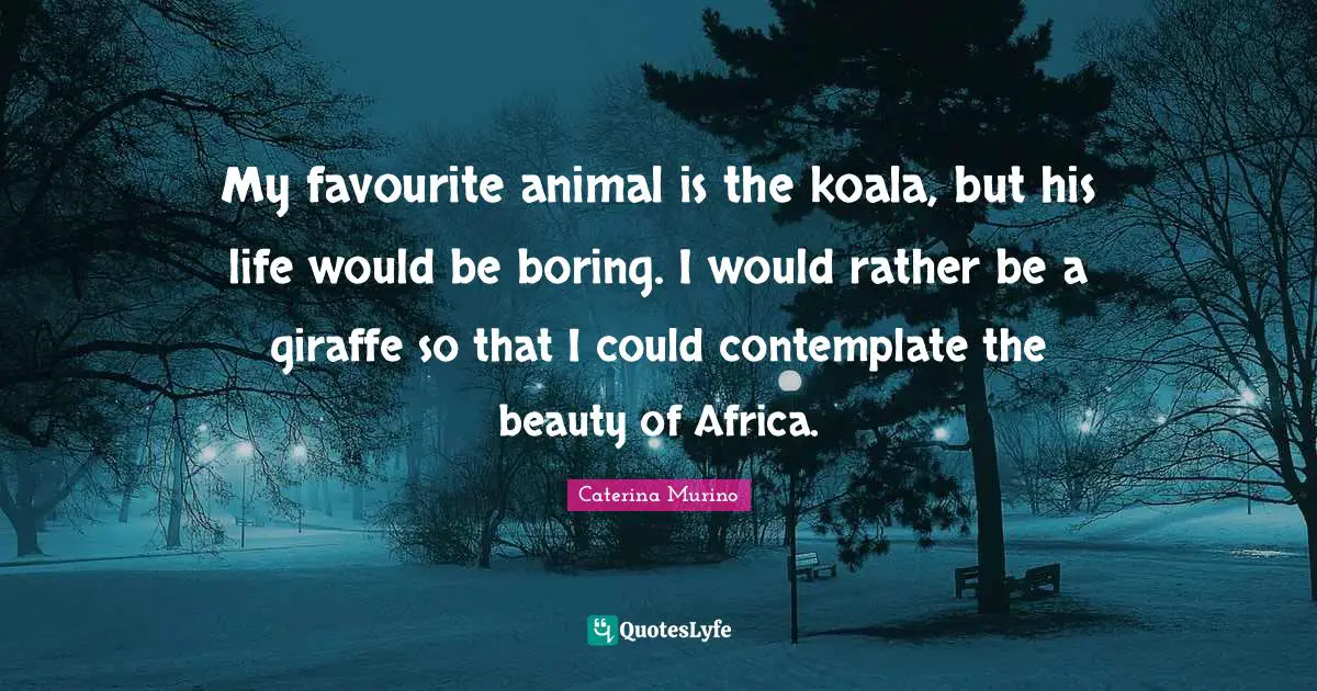 My favourite animal is the koala, but his life would be boring. I would rather be a giraffe so that I could contemplate the beauty of Africa.