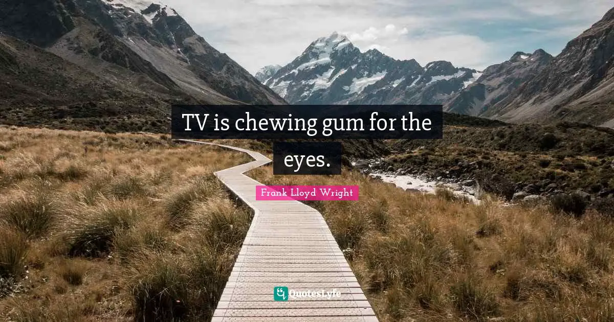 TV is chewing gum for the eyes.