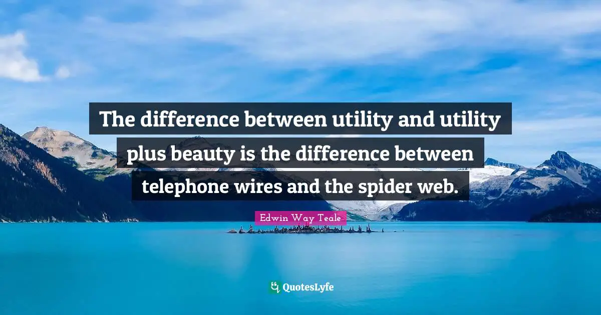 The difference between utility and utility plus beauty is the difference between telephone wires and the spider web.