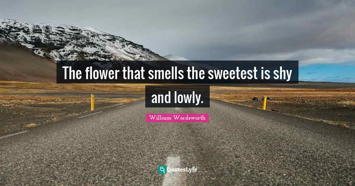 Flower Quotes: "The flower that smells the sweetest is shy and lowly."
