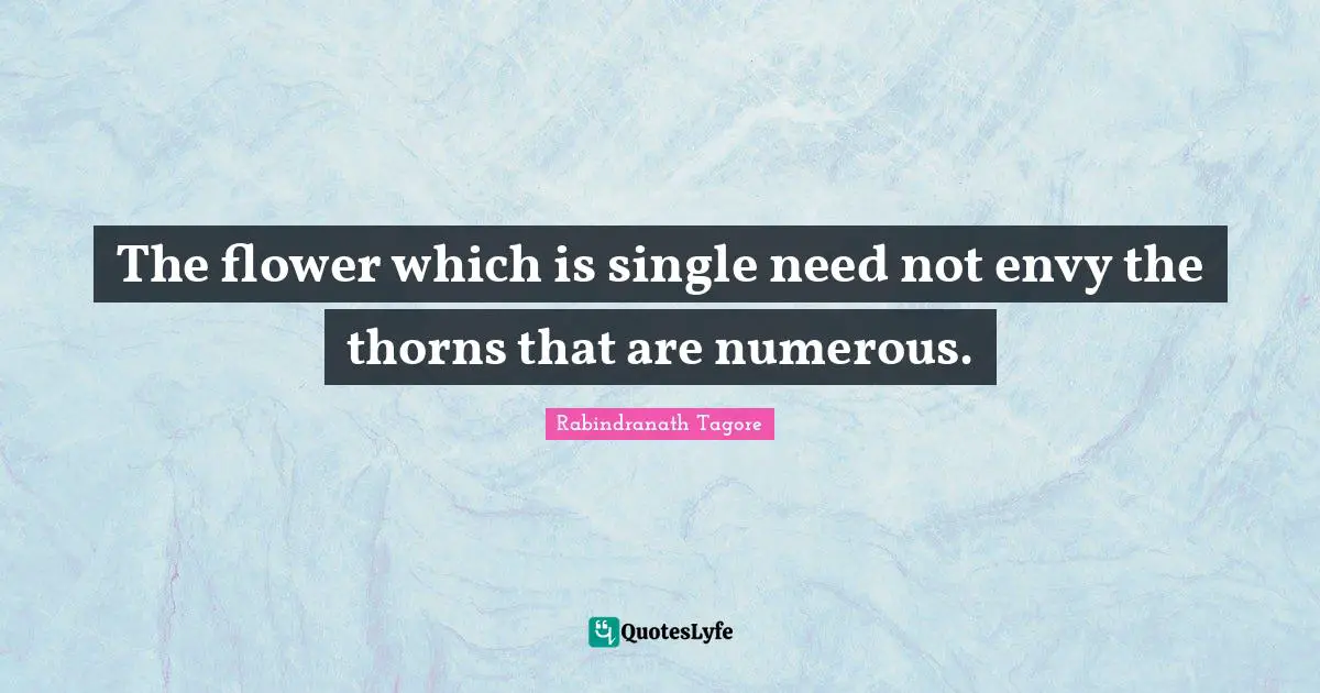 The flower which is single need not envy the thorns that are numerous.