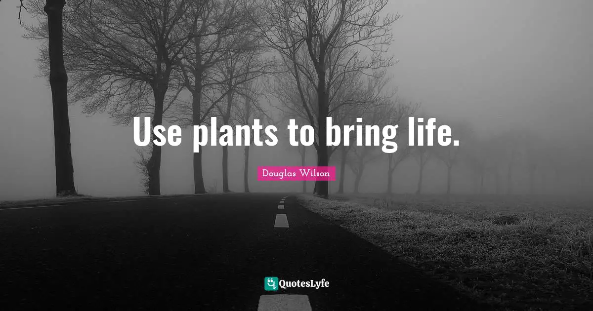 Use plants to bring life.