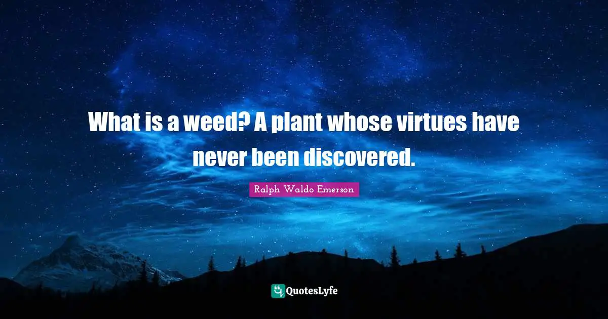 What is a weed? A plant whose virtues have never been discovered.