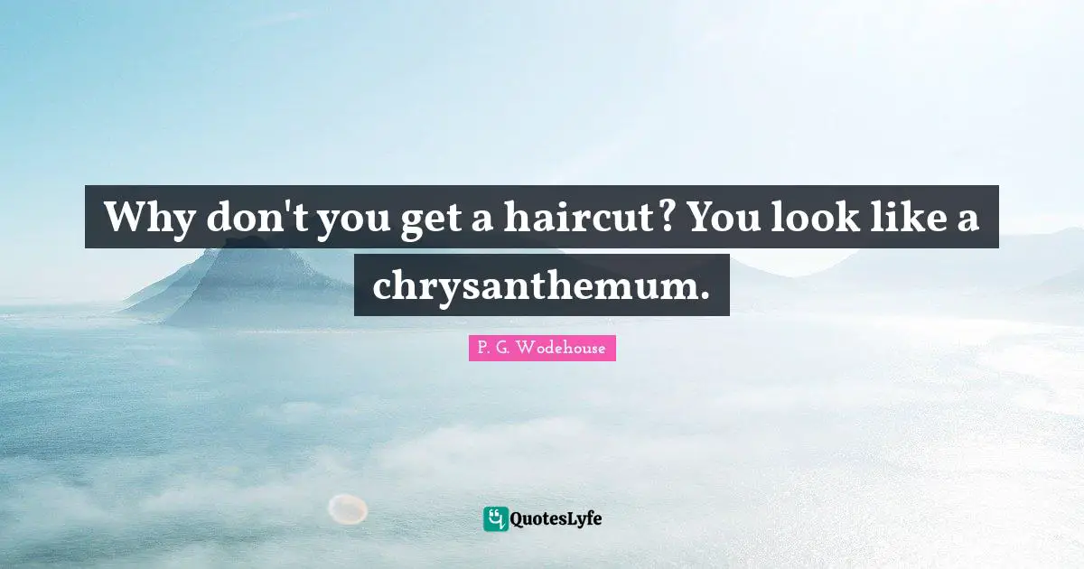 Why don't you get a haircut? You look like a chrysanthemum.