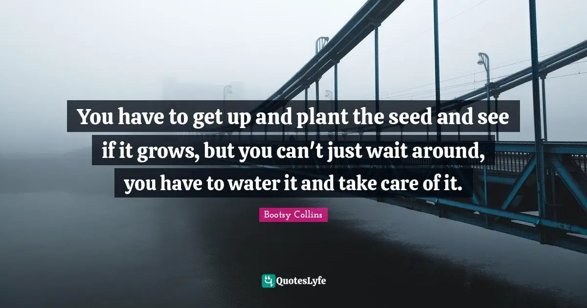 You have to get up and plant the seed and see if it grows, but you can't just wait around, you have to water it and take care of it.