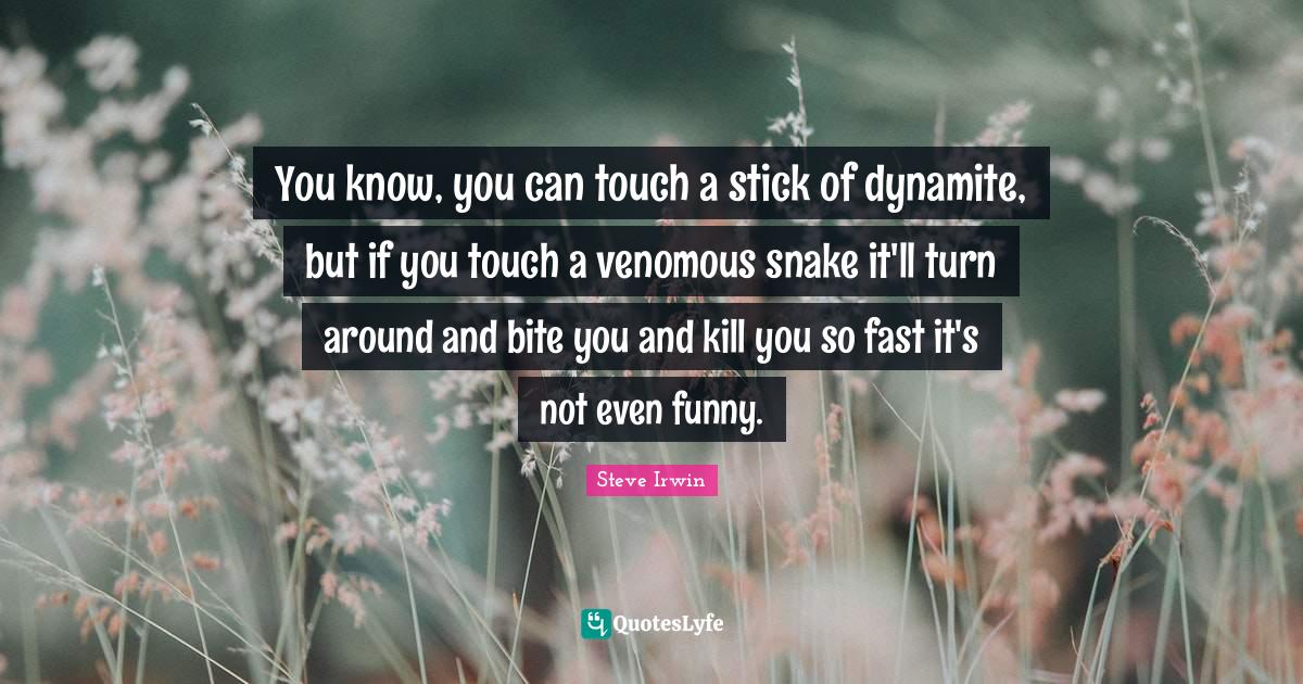 Best Snake Quotes with images to share and download for free at QuotesLyfe