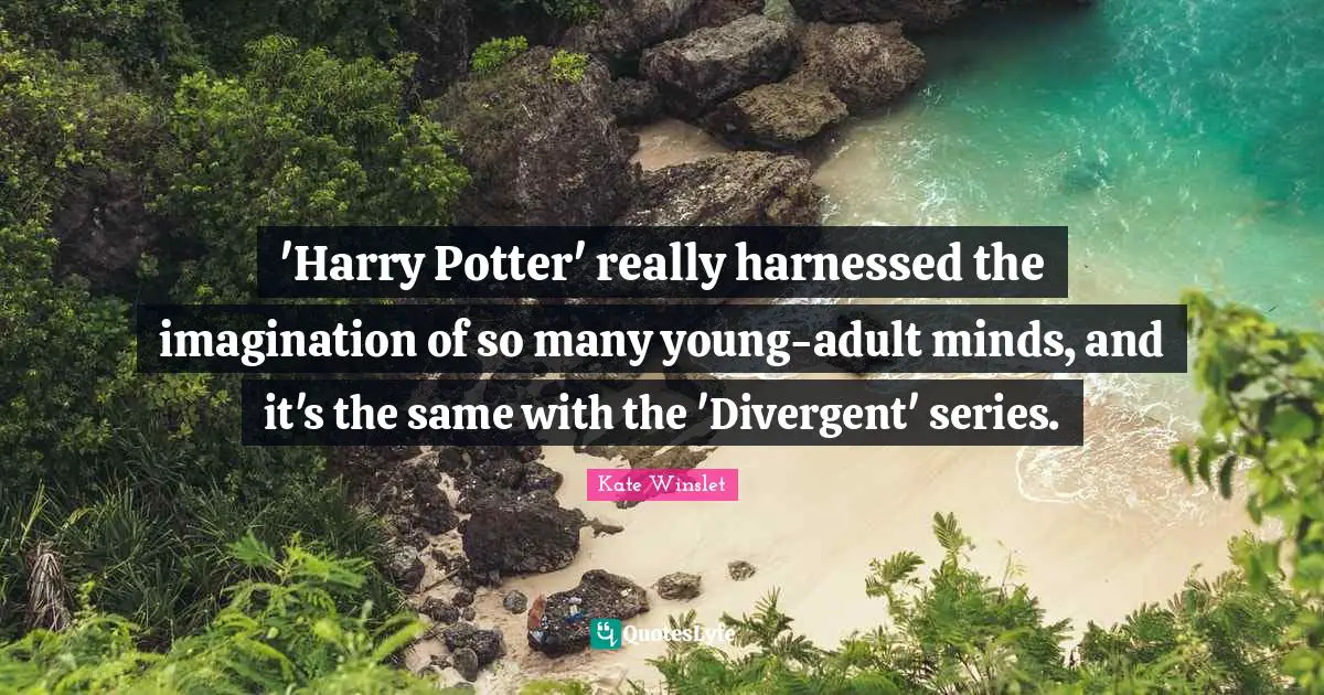 'Harry Potter' really harnessed the imagination of so many young-adult minds, and it's the same with the 'Divergent' series.
