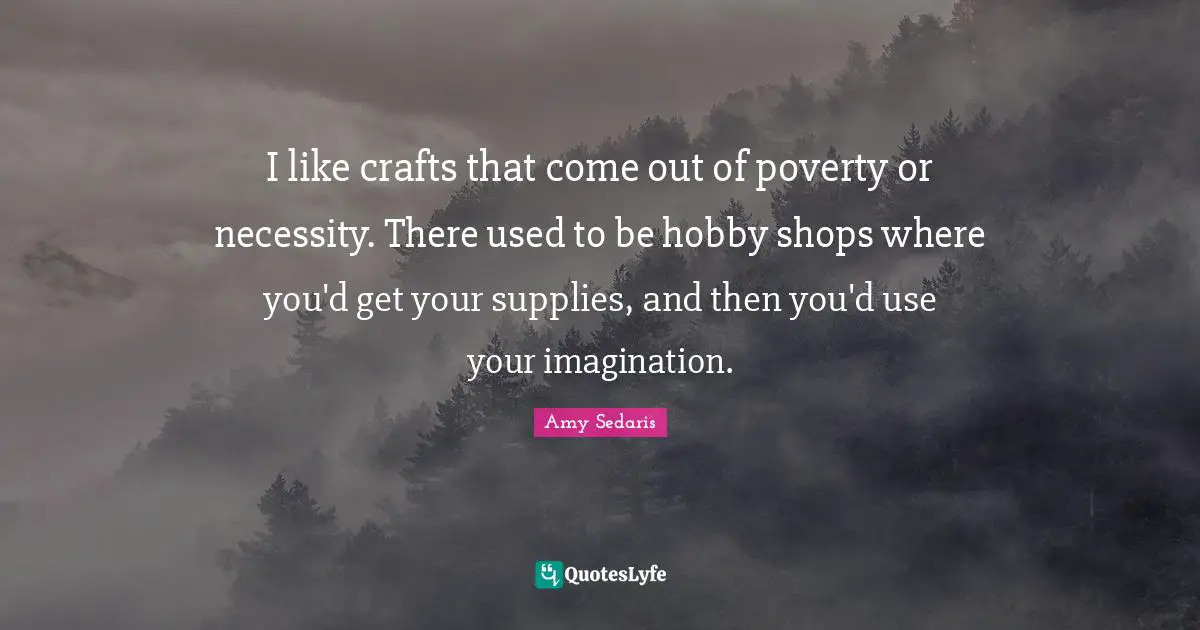 Amy Sedaris Quotes: "I like crafts that come out of poverty or necessity. There used to be hobby shops where you'd get your supplies, and then you'd use your imagination."