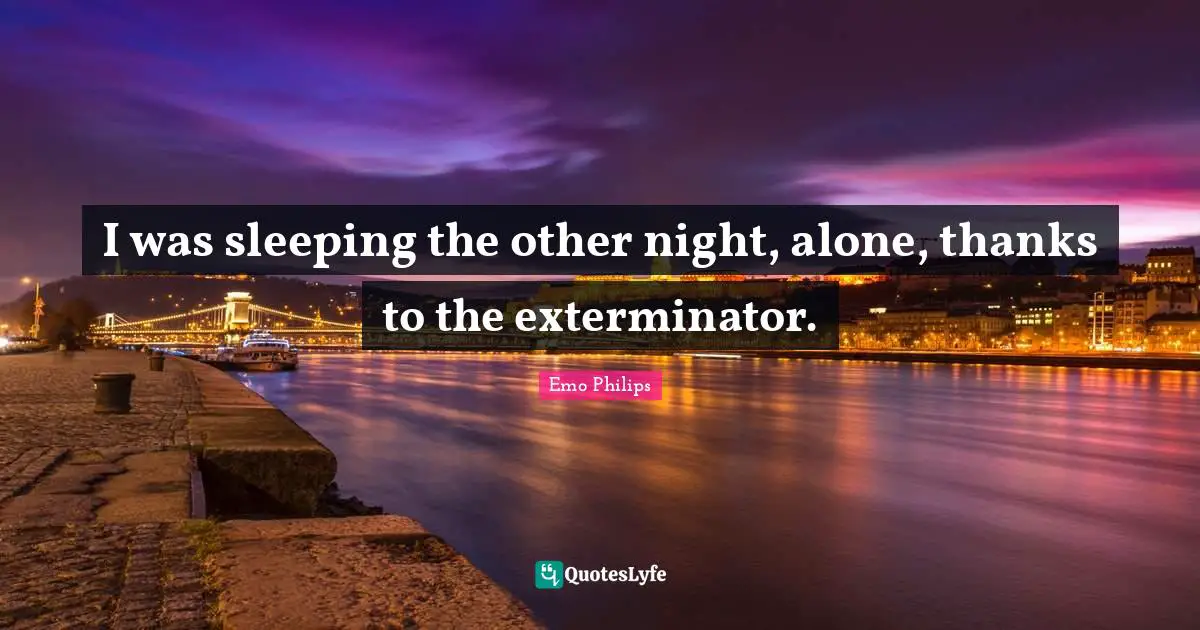 I was sleeping the other night, alone, thanks to the exterminator.