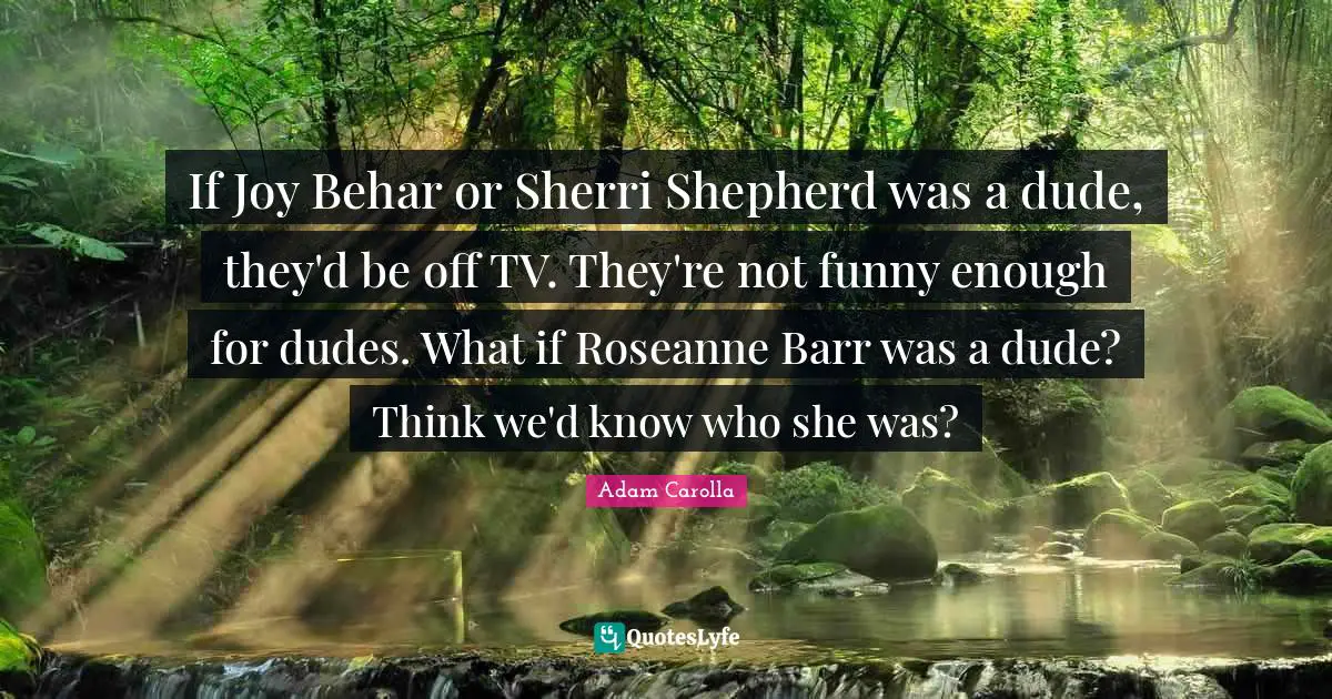 If Joy Behar or Sherri Shepherd was a dude, they'd be off TV. They're not funny enough for dudes. What if Roseanne Barr was a dude? Think we'd know who she was?