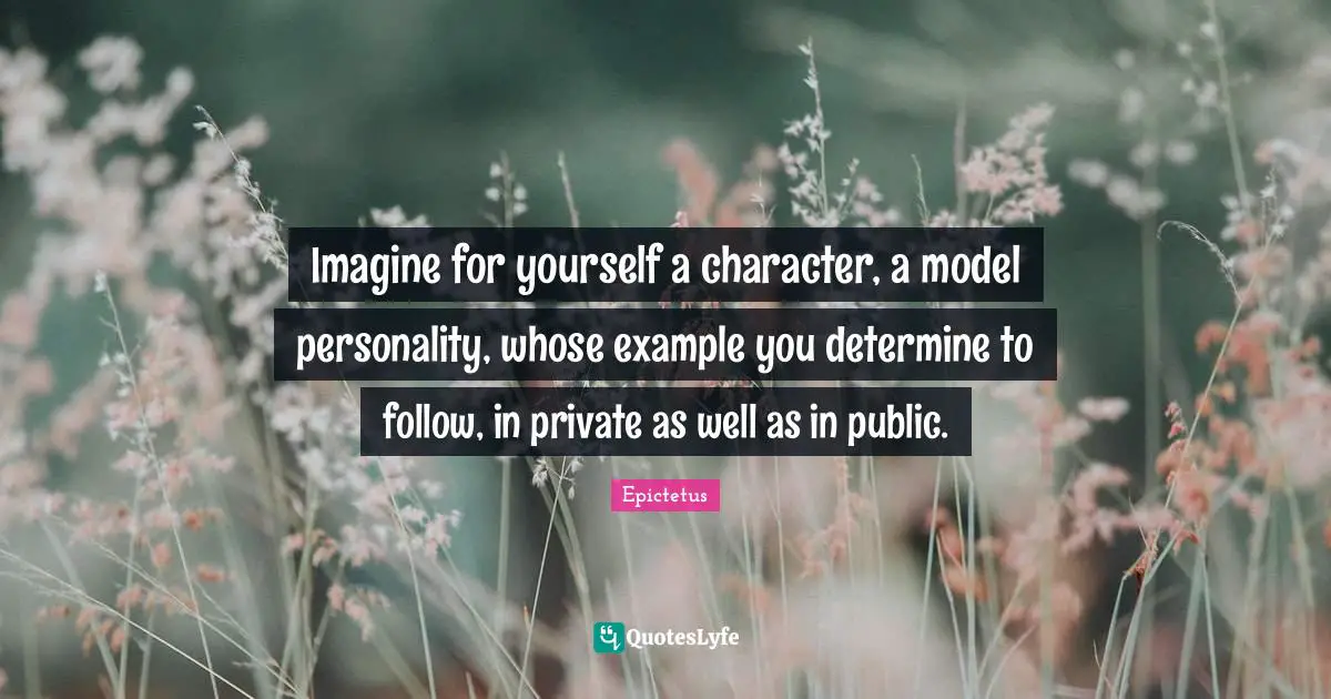 Imagine for yourself a character, a model personality, whose example you determine to follow, in private as well as in public.