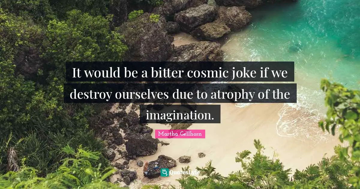 Destroy Quotes: "It would be a bitter cosmic joke if we destroy ourselves due to atrophy of the imagination."