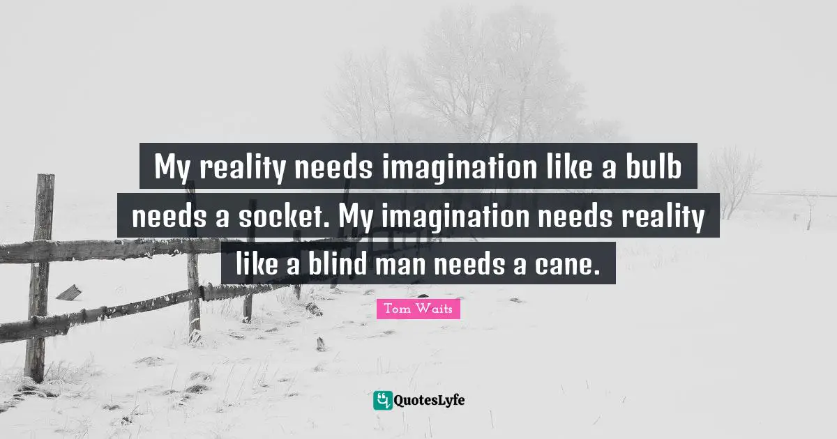 My reality needs imagination like a bulb needs a socket. My imagination needs reality like a blind man needs a cane.