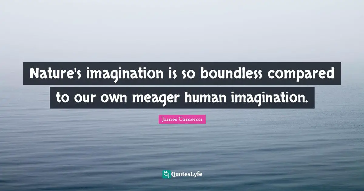 Nature's imagination is so boundless compared to our own meager human imagination.