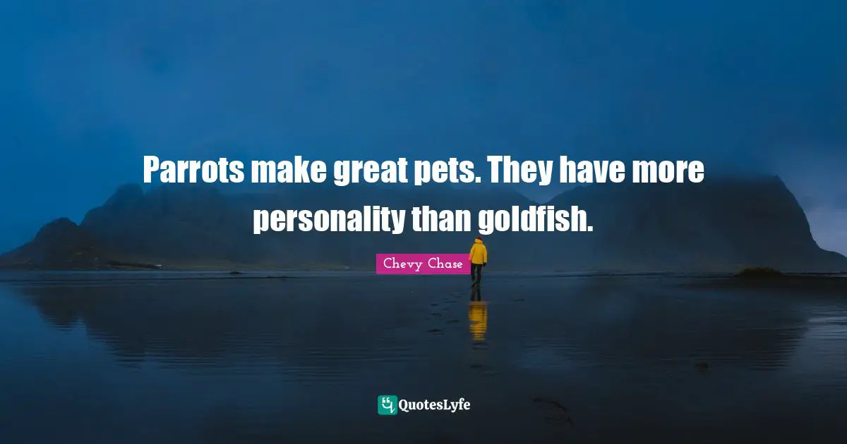 Parrots make great pets. They have more personality than goldfish.