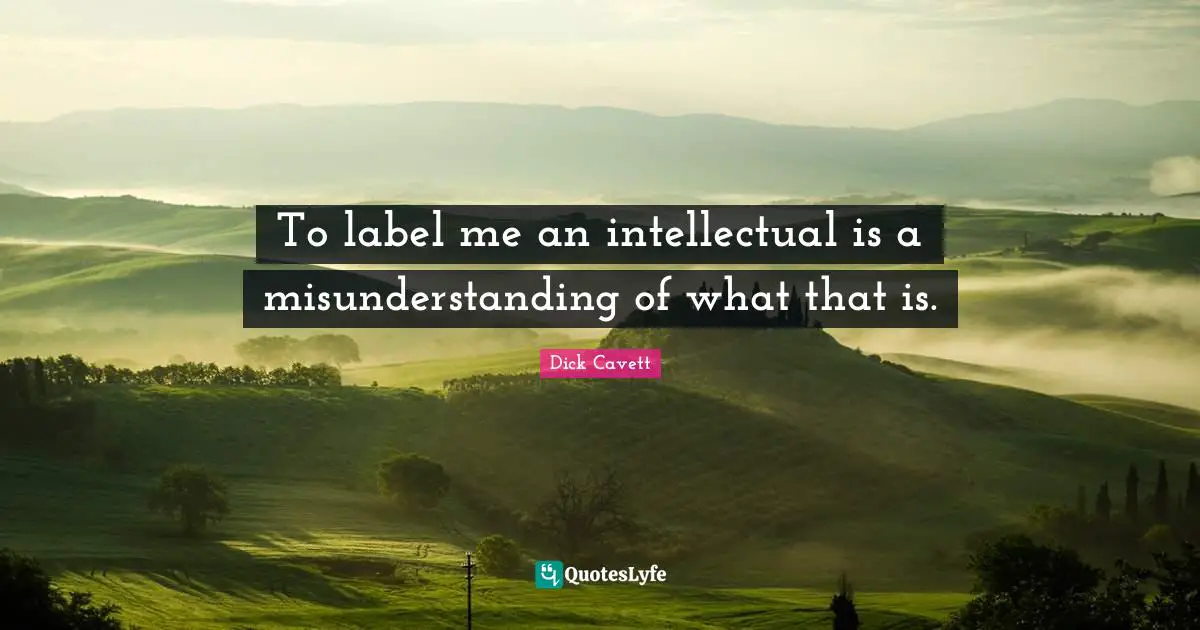 To label me an intellectual is a misunderstanding of what that is.