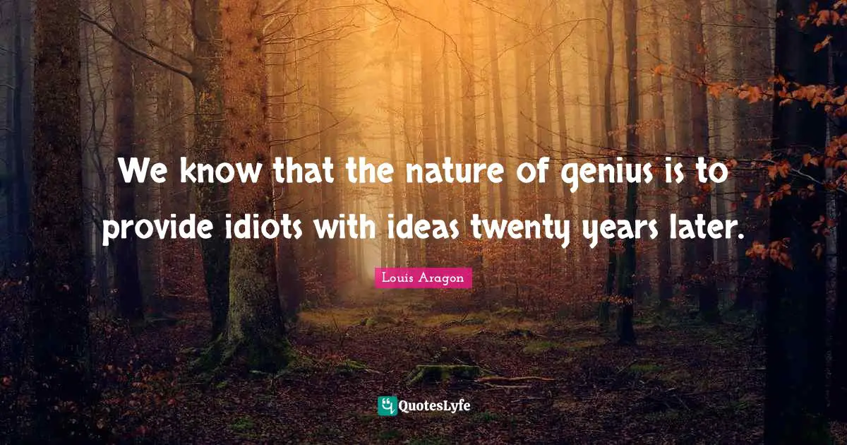 We know that the nature of genius is to provide idiots with ideas twenty years later.