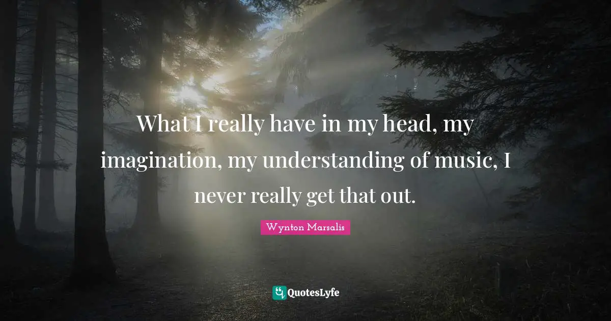 What I really have in my head, my imagination, my understanding of music, I never really get that out.