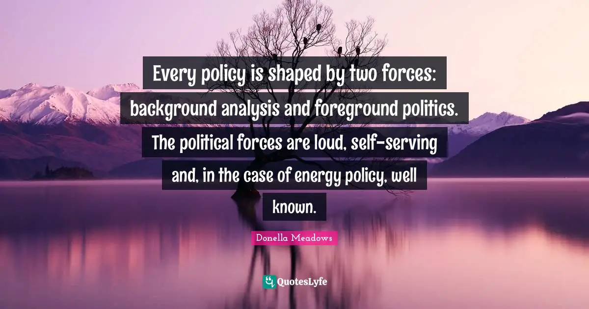 Every policy is shaped by two forces: background analysis and foreground politics. The political forces are loud, self-serving and, in the case of energy policy, well known.