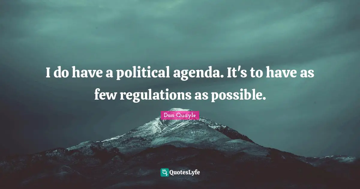 I do have a political agenda. It's to have as few regulations as possible.
