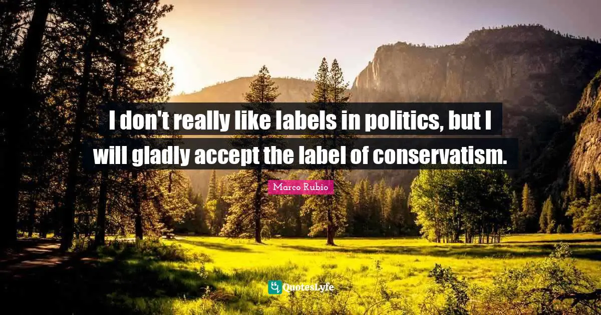 Accept Quotes: "I don't really like labels in politics, but I will gladly accept the label of conservatism."