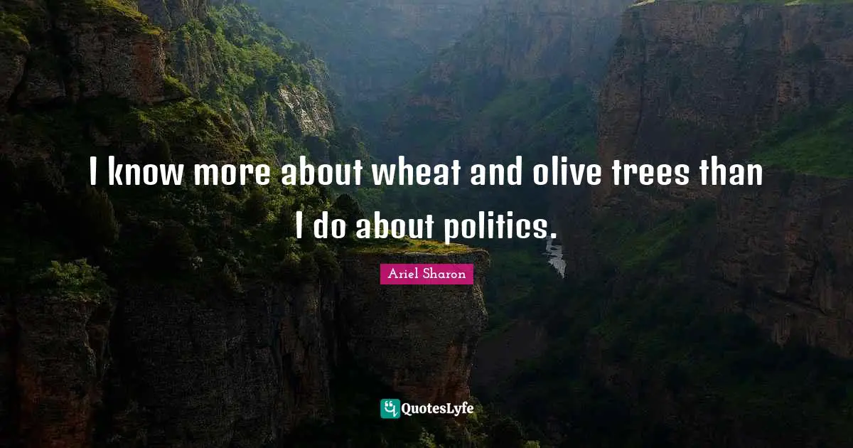 I know more about wheat and olive trees than I do about politics.