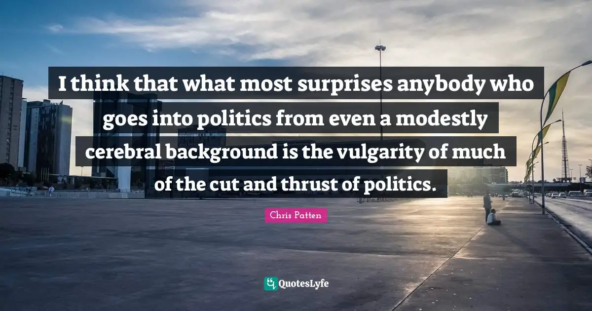 I think that what most surprises anybody who goes into politics from even a modestly cerebral background is the vulgarity of much of the cut and thrust of politics.