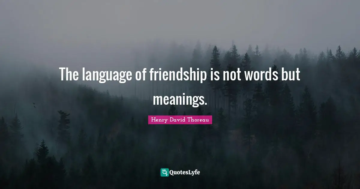 The language of friendship is not words but meanings.