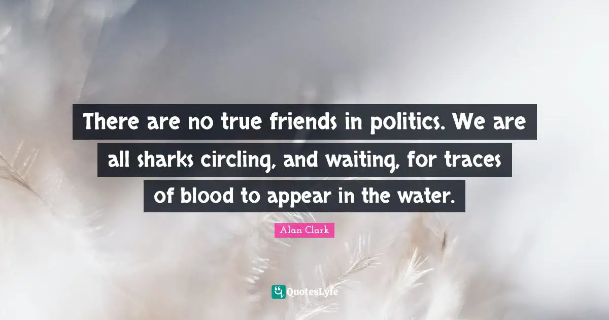 There are no true friends in politics. We are all sharks circling, and waiting, for traces of blood to appear in the water.