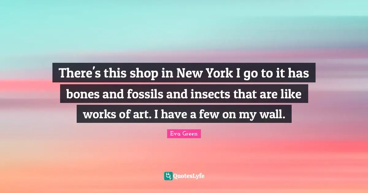 There's this shop in New York I go to it has bones and fossils and insects that are like works of art. I have a few on my wall.