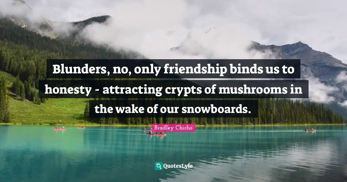 Blunders, no, only friendship binds us to honesty - attracting crypts of mushrooms in the wake of our snowboards.