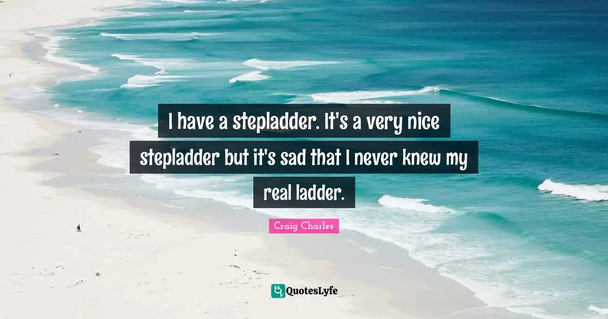 I have a stepladder. It's a very nice stepladder but it's sad that I never knew my real ladder.