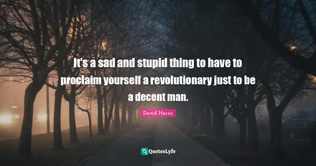 It's a sad and stupid thing to have to proclaim yourself a revolutionary just to be a decent man.