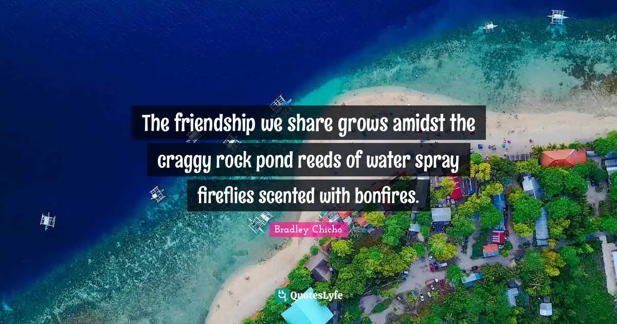 The friendship we share grows amidst the craggy rock pond reeds of water spray fireflies scented with bonfires.