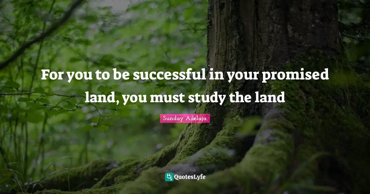 For you to be successful in your promised land, you must study the land