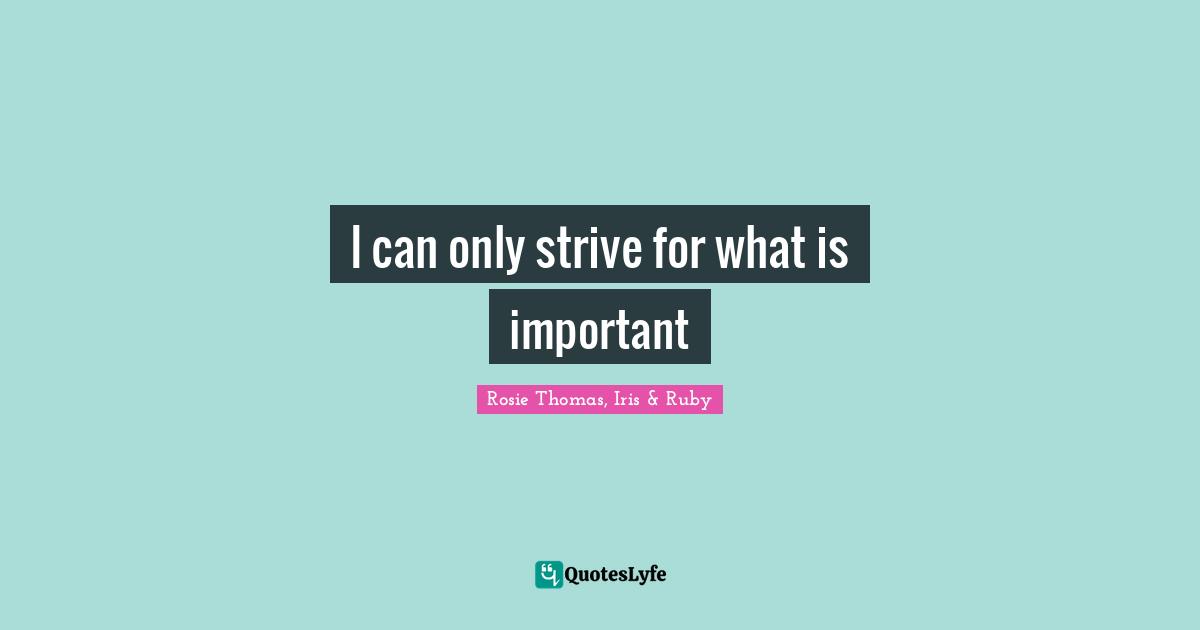 Rosie Thomas Quotes: "I can only strive for what is important"