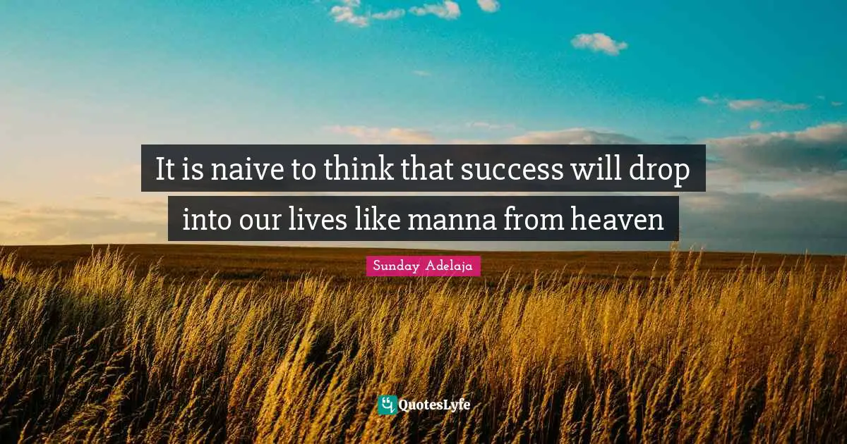 Drop Quotes: "It is naive to think that success will drop into our lives like manna from heaven"