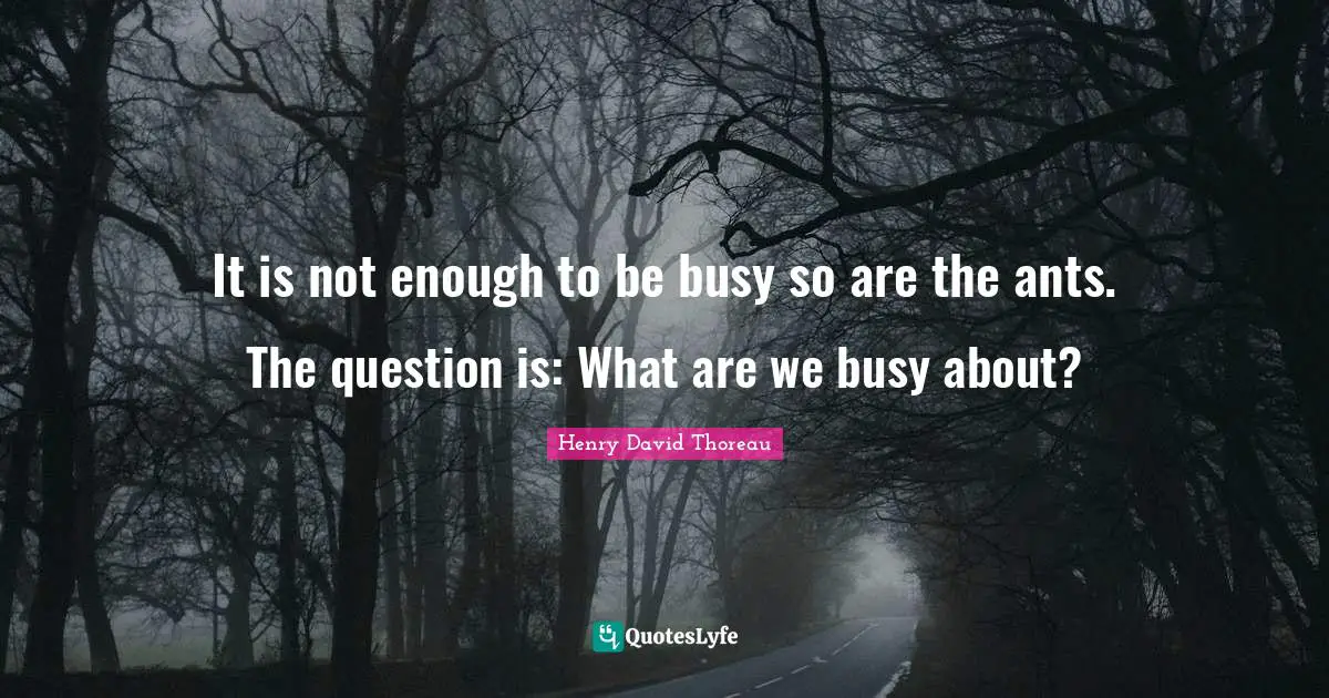 It is not enough to be busy so are the ants. The question is: What are we busy about?