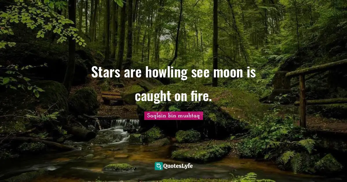Stars are howling see moon is caught on fire.