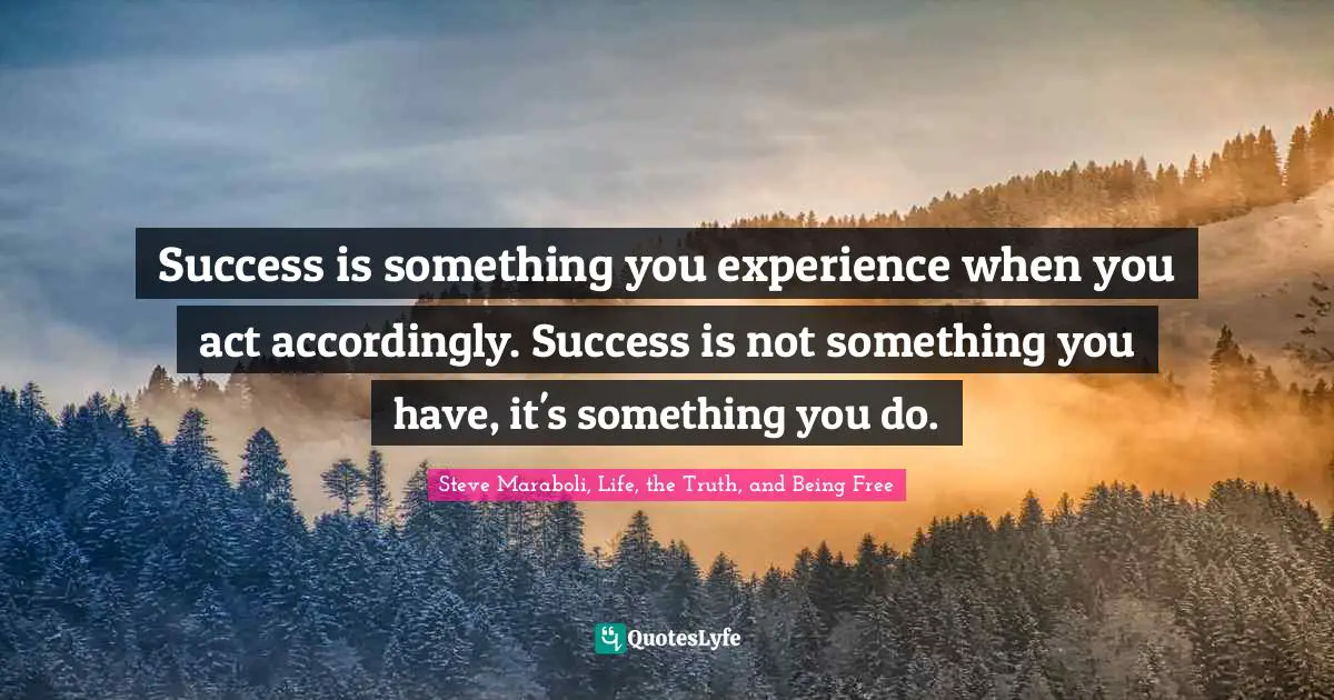 Success is something you experience when you act accordingly. Success is not something you have, it's something you do.