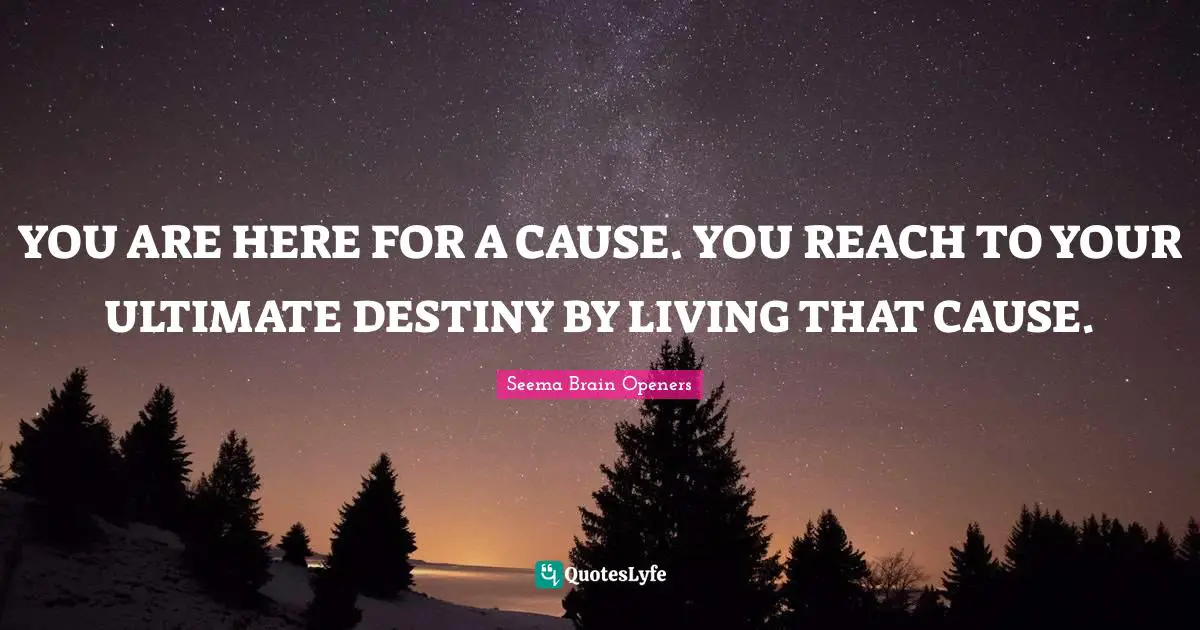 YOU ARE HERE FOR A CAUSE. YOU REACH TO YOUR ULTIMATE DESTINY BY LIVING THAT CAUSE.