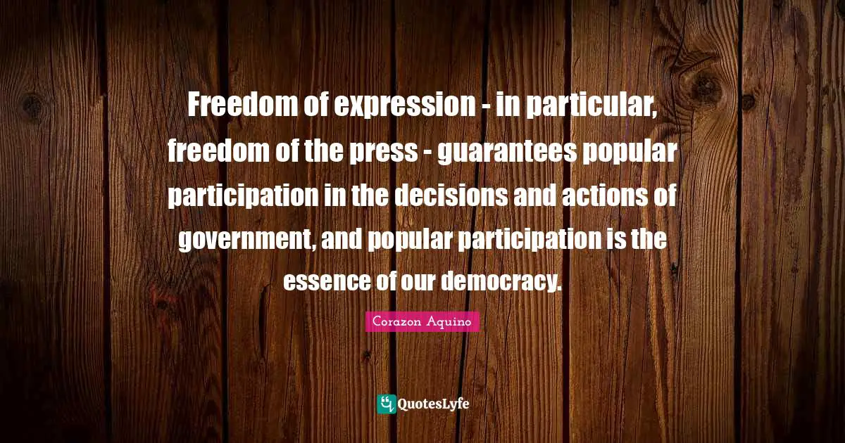 Freedom of expression - in particular, freedom of the press - guarantees popular participation in the decisions and actions of government, and popular participation is the essence of our democracy.