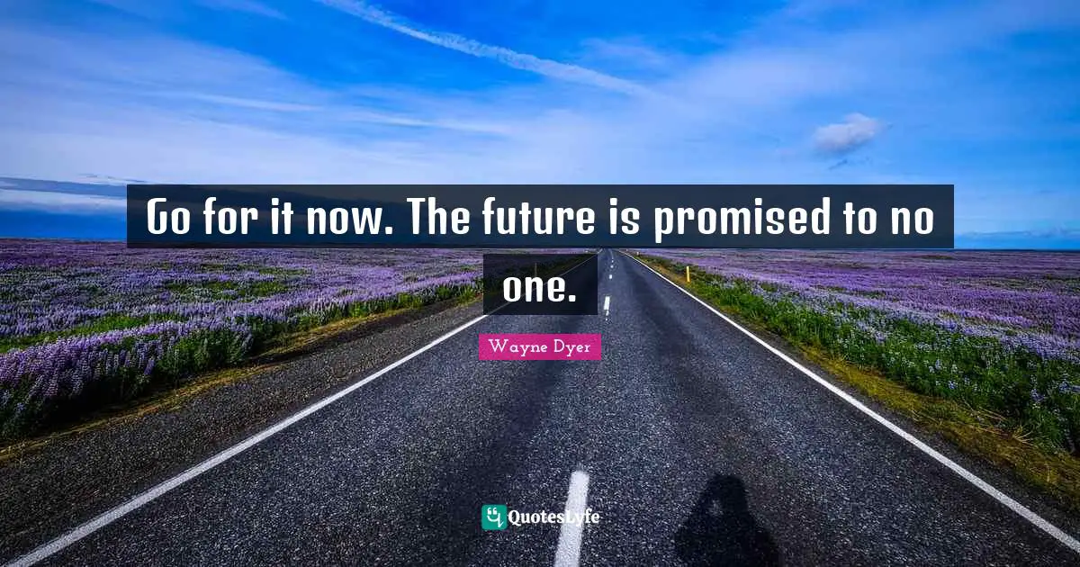 Go for it now. The future is promised to no one.