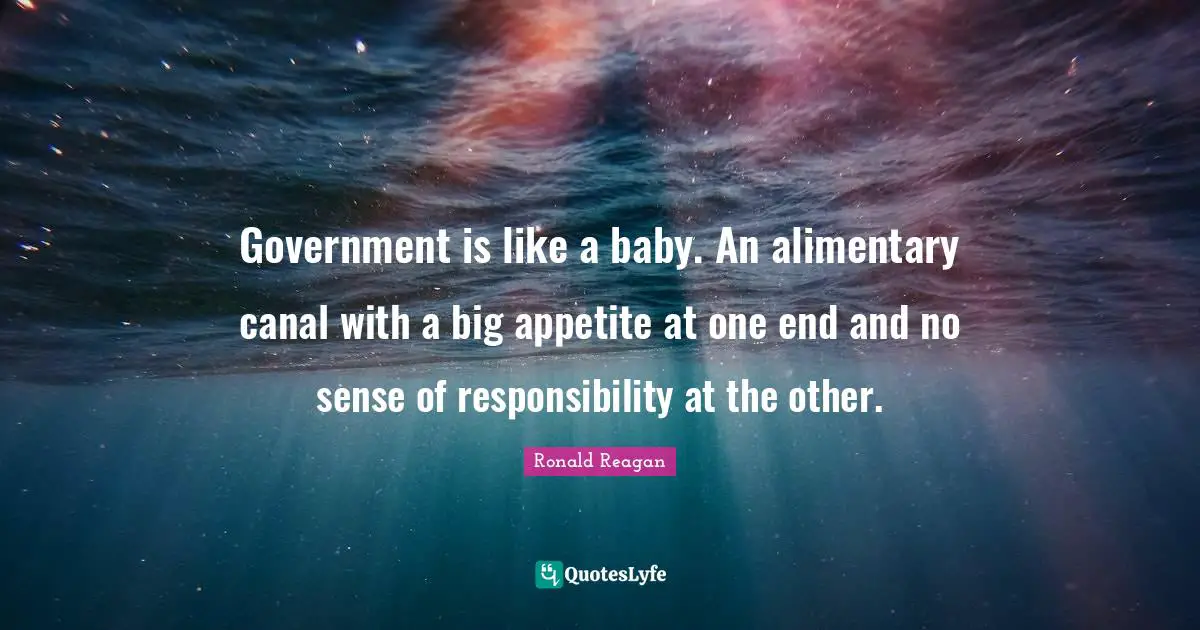 Ronald Reagan Quotes: Government is like a baby. An alimentary canal with a big appetite at one end and no sense of responsibility at the other.
