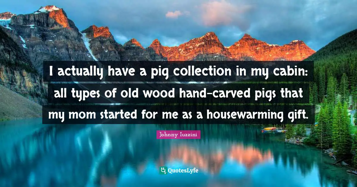 I actually have a pig collection in my cabin: all types of old wood hand-carved pigs that my mom started for me as a housewarming gift.