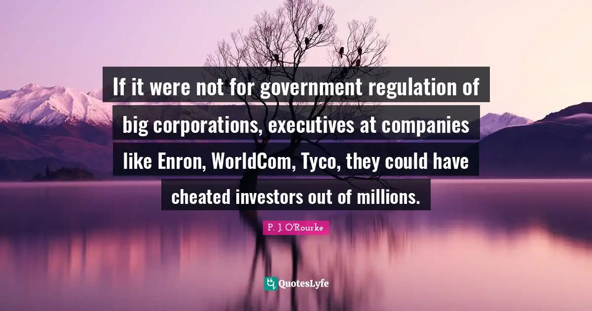 If it were not for government regulation of big corporations, executives at companies like Enron, WorldCom, Tyco, they could have cheated investors out of millions.