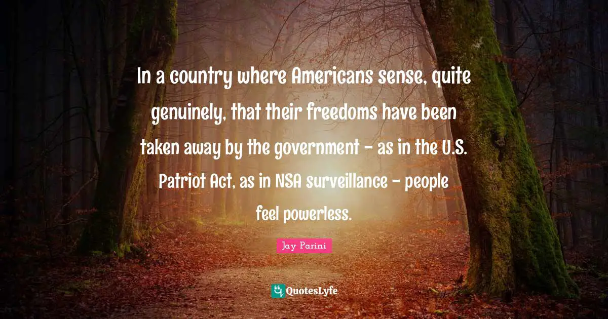 In a country where Americans sense, quite genuinely, that their freedoms have been taken away by the government - as in the U.S. Patriot Act, as in NSA surveillance - people feel powerless.