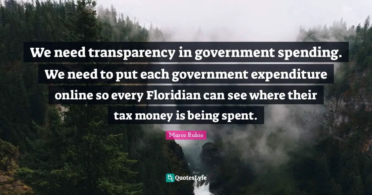 We need transparency in government spending. We need to put each government expenditure online so every Floridian can see where their tax money is being spent.