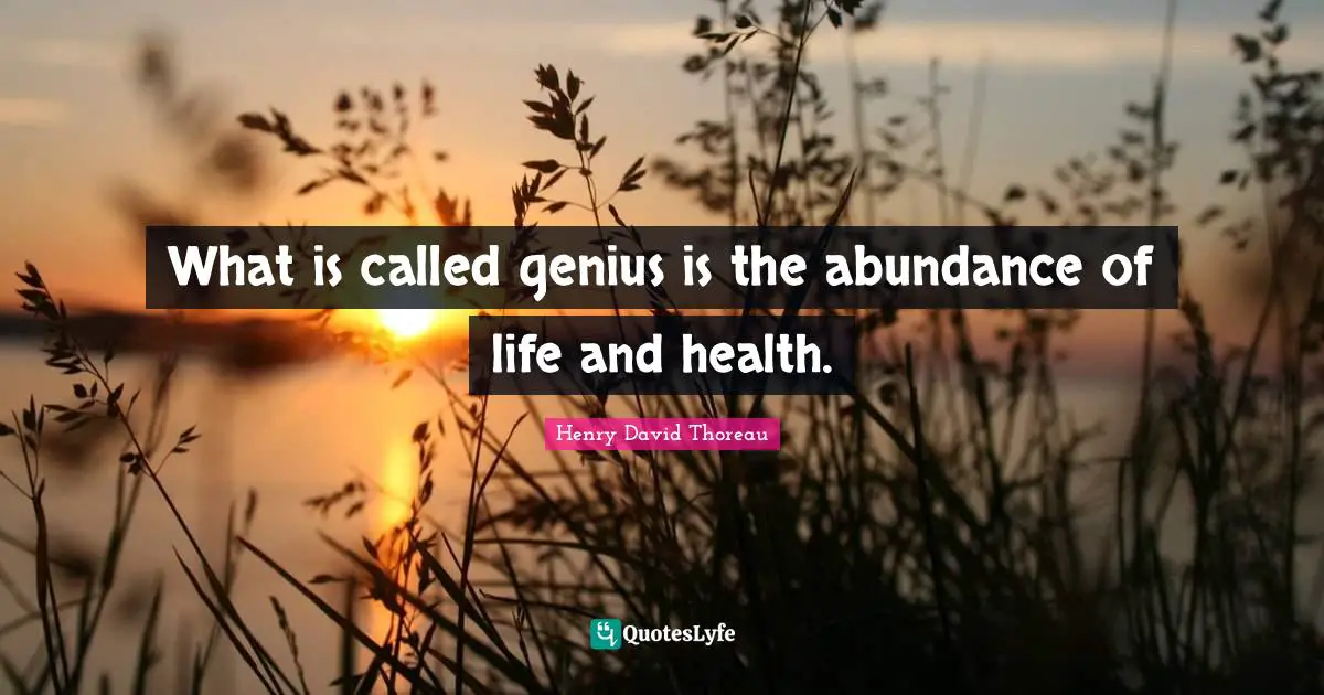 What is called genius is the abundance of life and health.